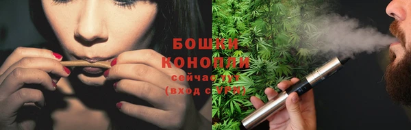 ГАЛЛЮЦИНОГЕННЫЕ ГРИБЫ Надым