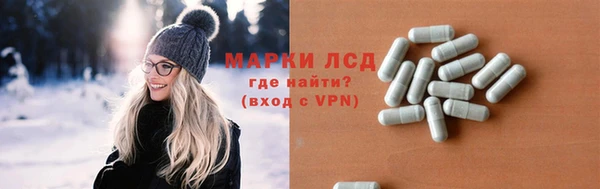 ГАЛЛЮЦИНОГЕННЫЕ ГРИБЫ Надым